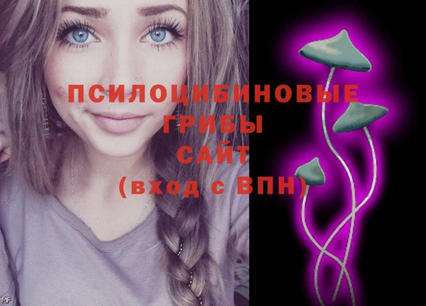 mix Няндома